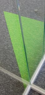grey and green go to carpet tiles in office