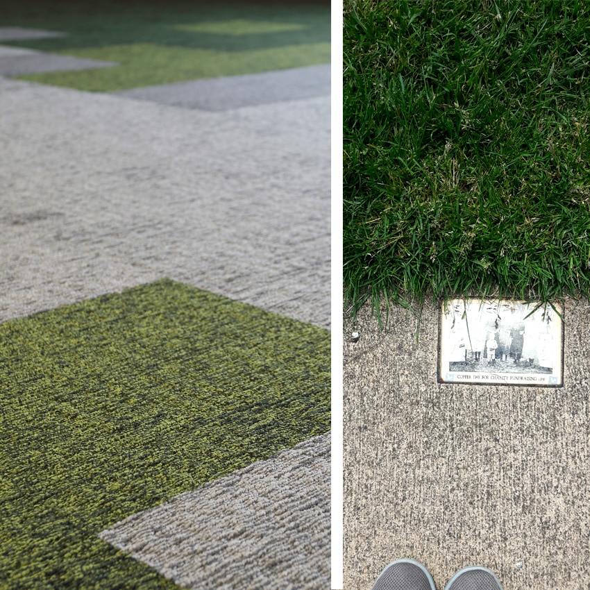 studio Alaska with Penguin pavement