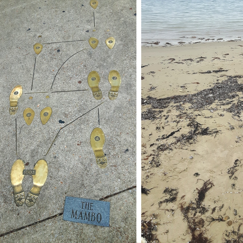 chicago sidewalk with TAsmanian beach