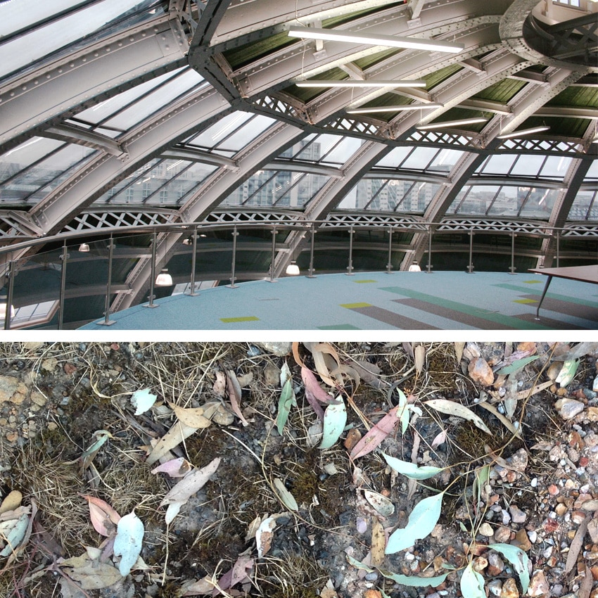 malin group carpet with Australian ground