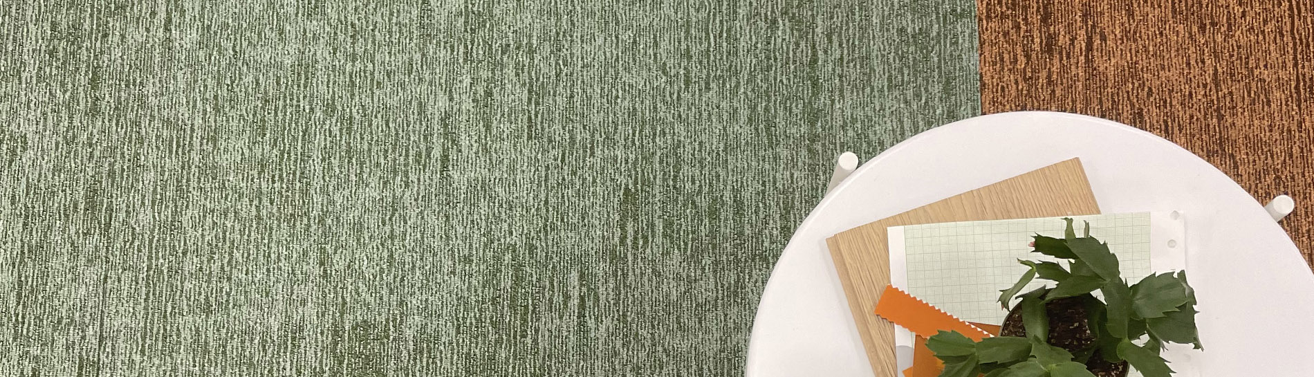 alaska multi level loop product refresh 2024