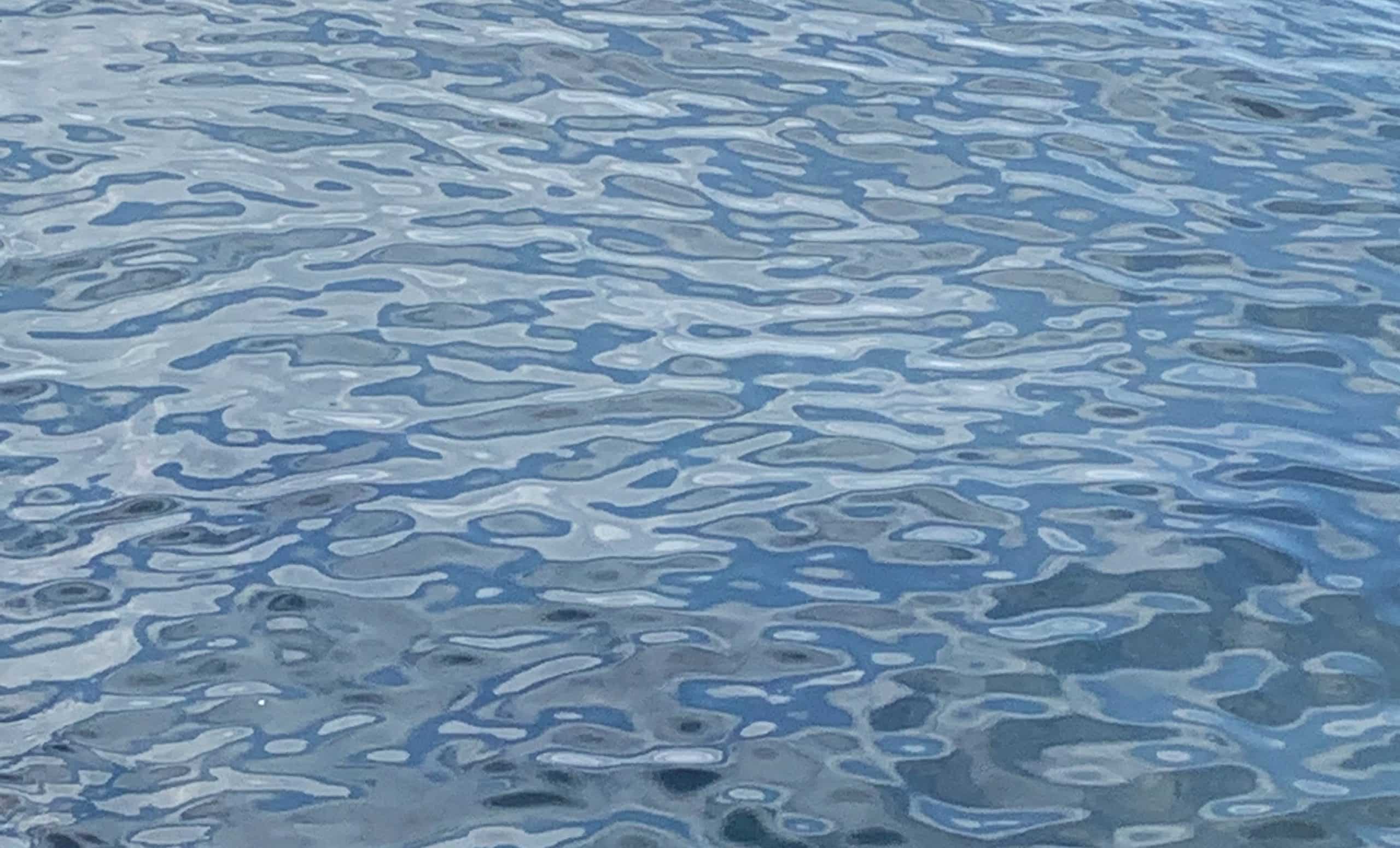 FRIDAY FLOORING FAVOURITES – END OF SUMMER