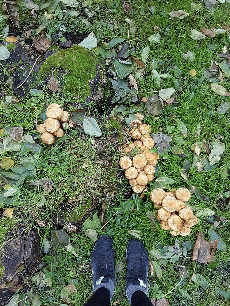 burmatex-designblog-fff-nov-04