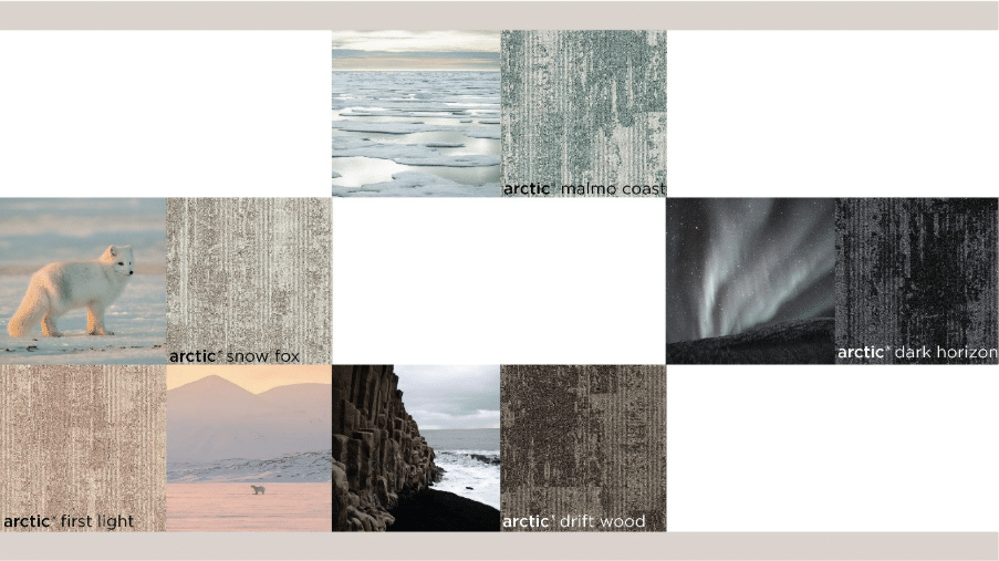arctic® 2026